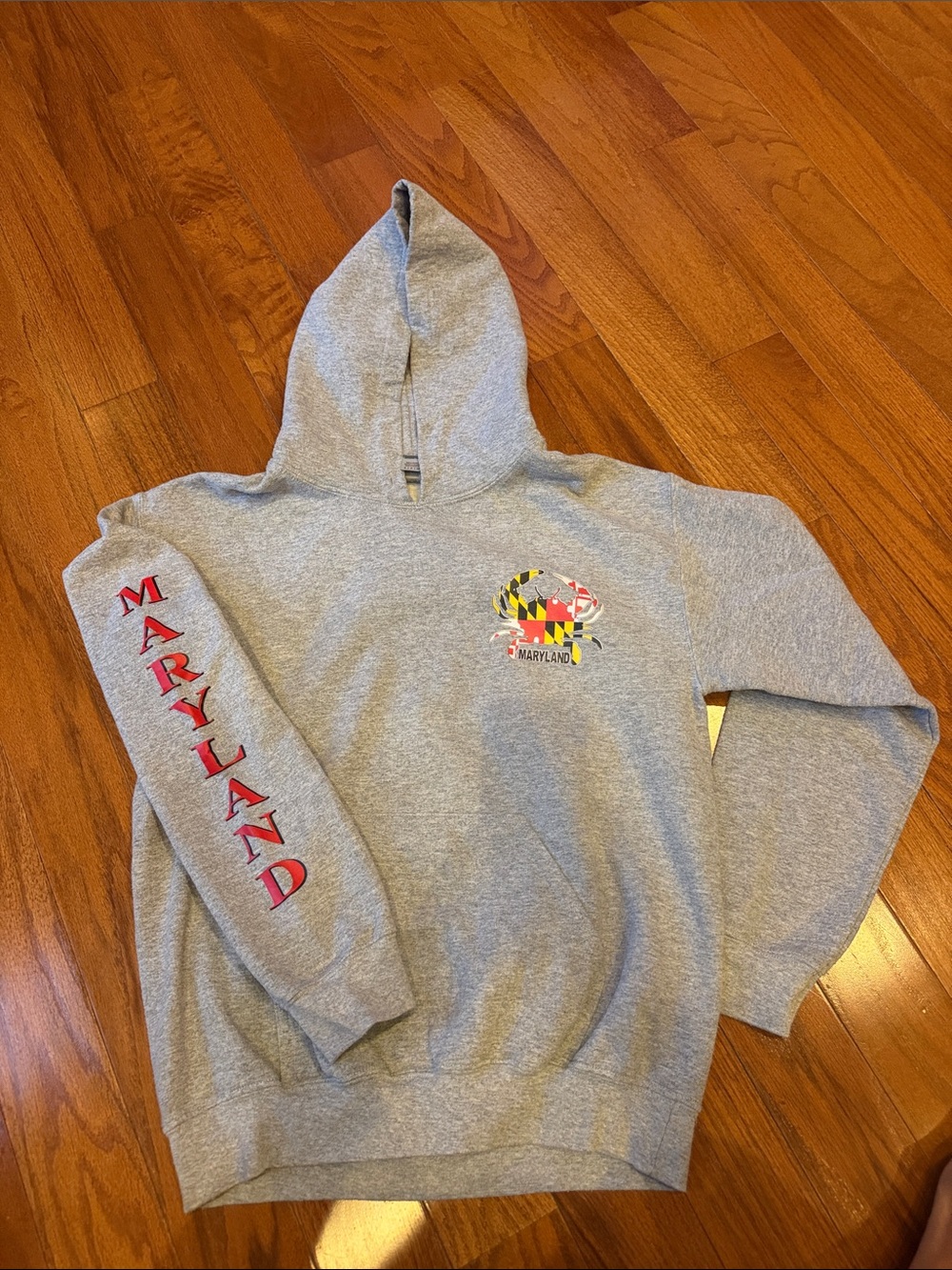 Maryland Graphic Hoodie - Gray